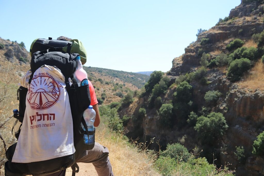 ציונות