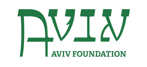קרן אביב 1.png